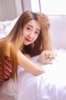 杀破狼2 电影